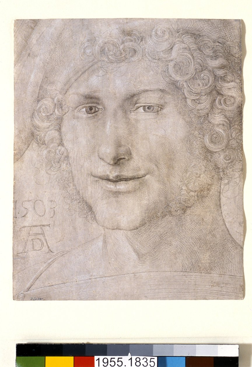 Hlava mladého muže, 1503 od Albrecht Dürer