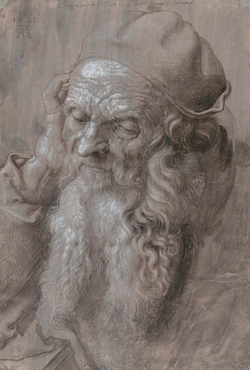 Hlava starého muže od Albrecht Dürer