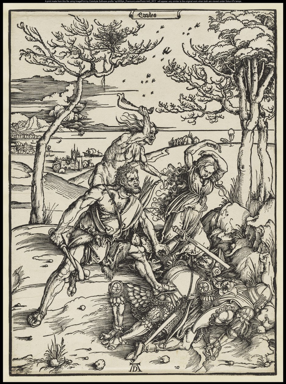 od Albrecht Dürer or Duerer