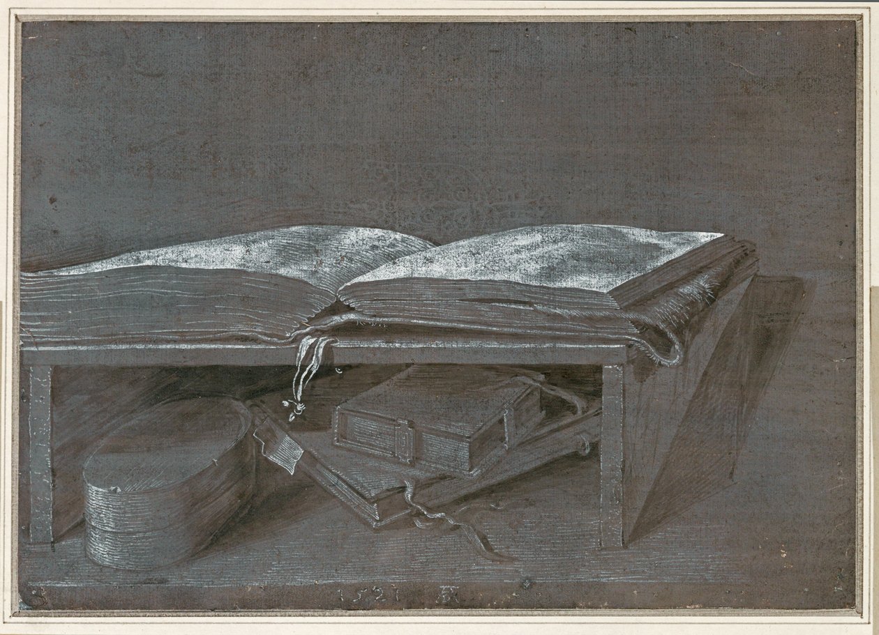Otevřená kniha (kresba štětcem na hnědém papíře) od Albrecht Dürer or Duerer