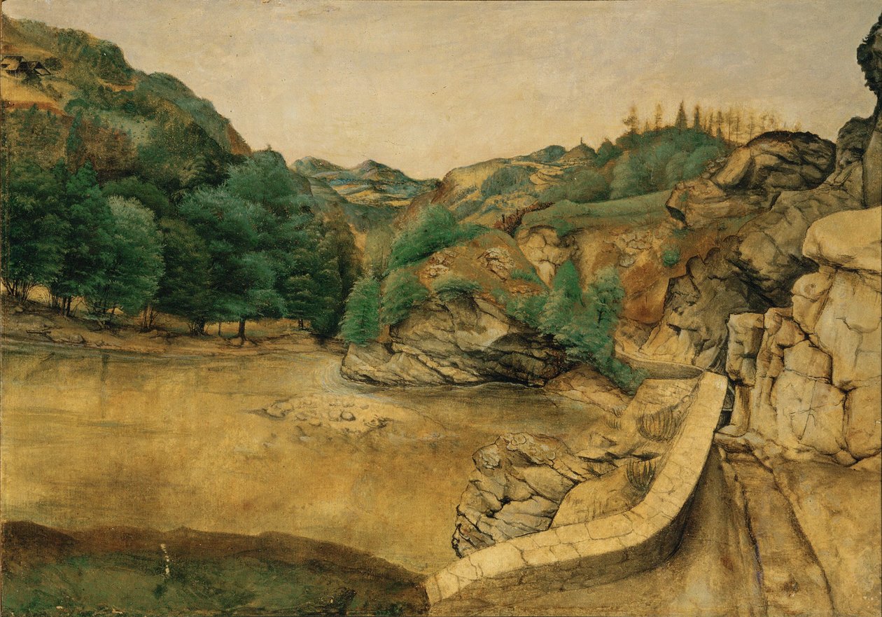 Stezka v Alpách od Albrecht Dürer or Duerer