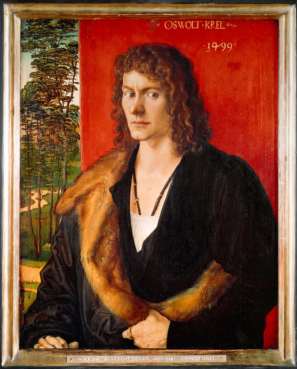 Portrét Oswolta Krela od Albrecht Dürer or Duerer