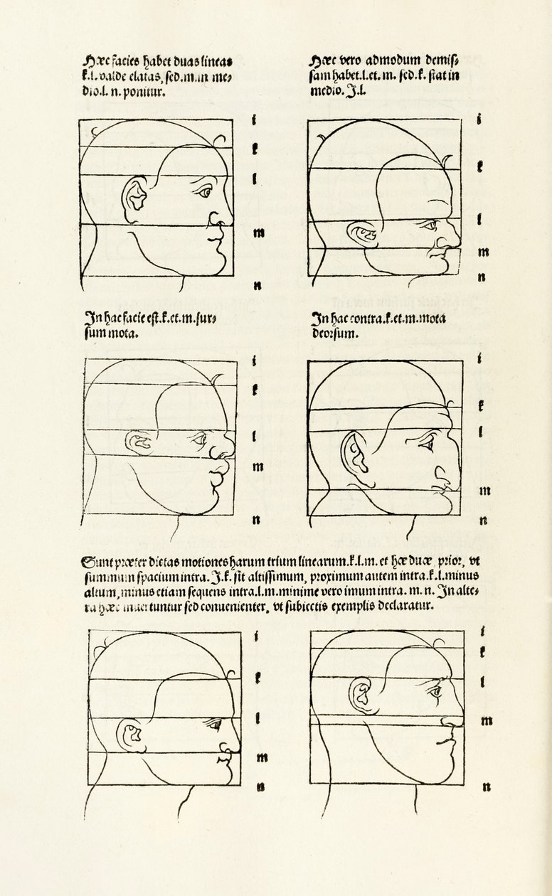 Proporce lidské hlavy z „Zde jsou chápány čtyři knihy lidských proporcí“ od Albrecht Dürer