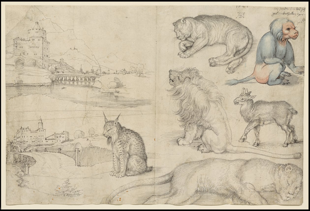 Náčrtky zvířat a krajiny, 1521 od Albrecht Dürer