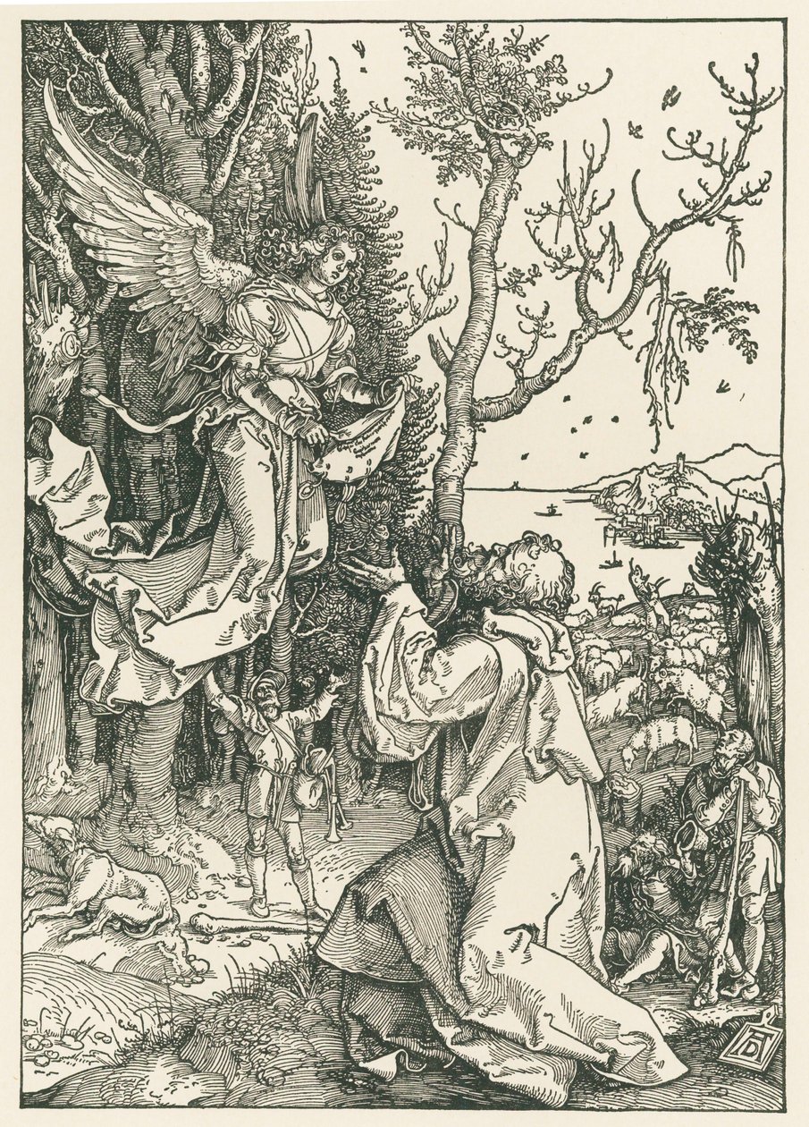 Anděl přinášející poselství Joachimovi, asi 1504 (dřevoryt) od Albrecht Dürer or Duerer