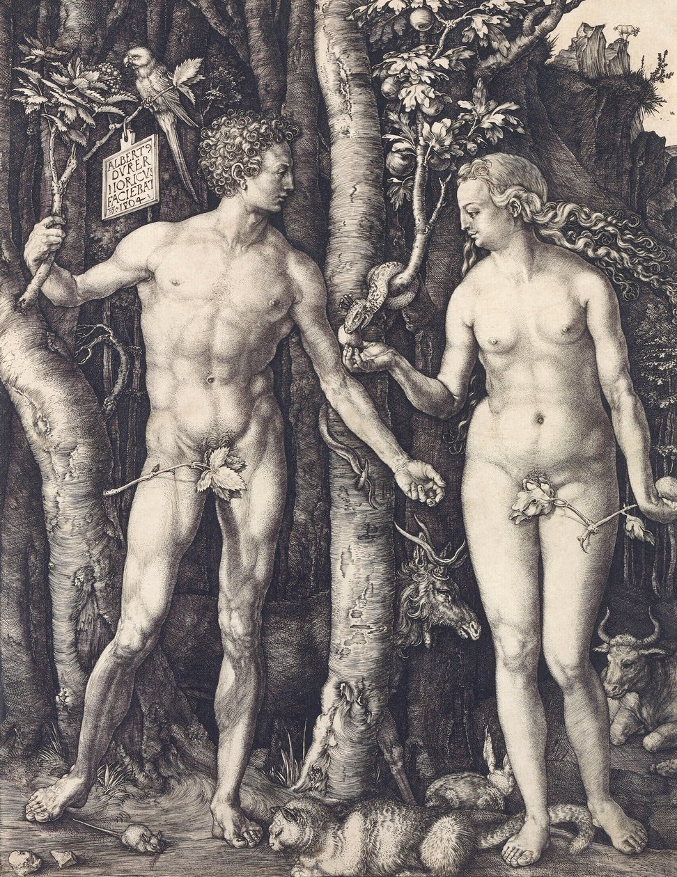 Pád člověka, Albrecht Durer od Albrecht Dürer