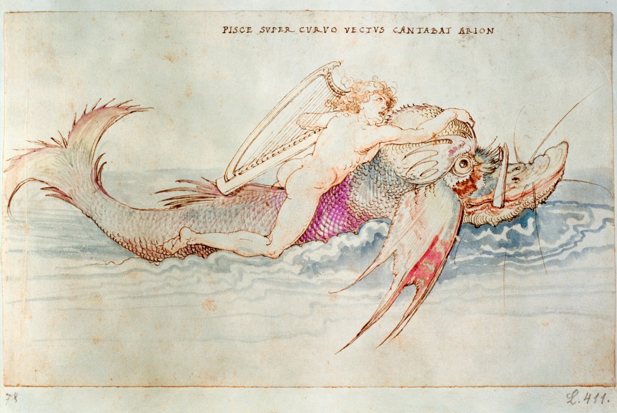 Řecký básník Arión na delfínovi, asi 1515 (akvarel na papíře) od Albrecht Dürer or Duerer