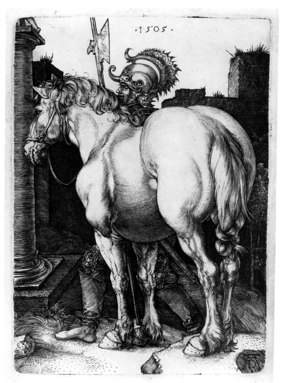 Velký kůň, 1509 od Albrecht Dürer