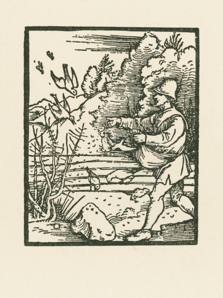 Podobenství o rozsévači od Albrecht Dürer or Duerer