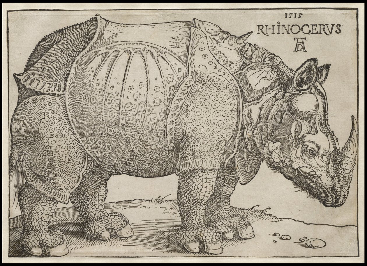 Nosorožec, 1515 od Albrecht Dürer