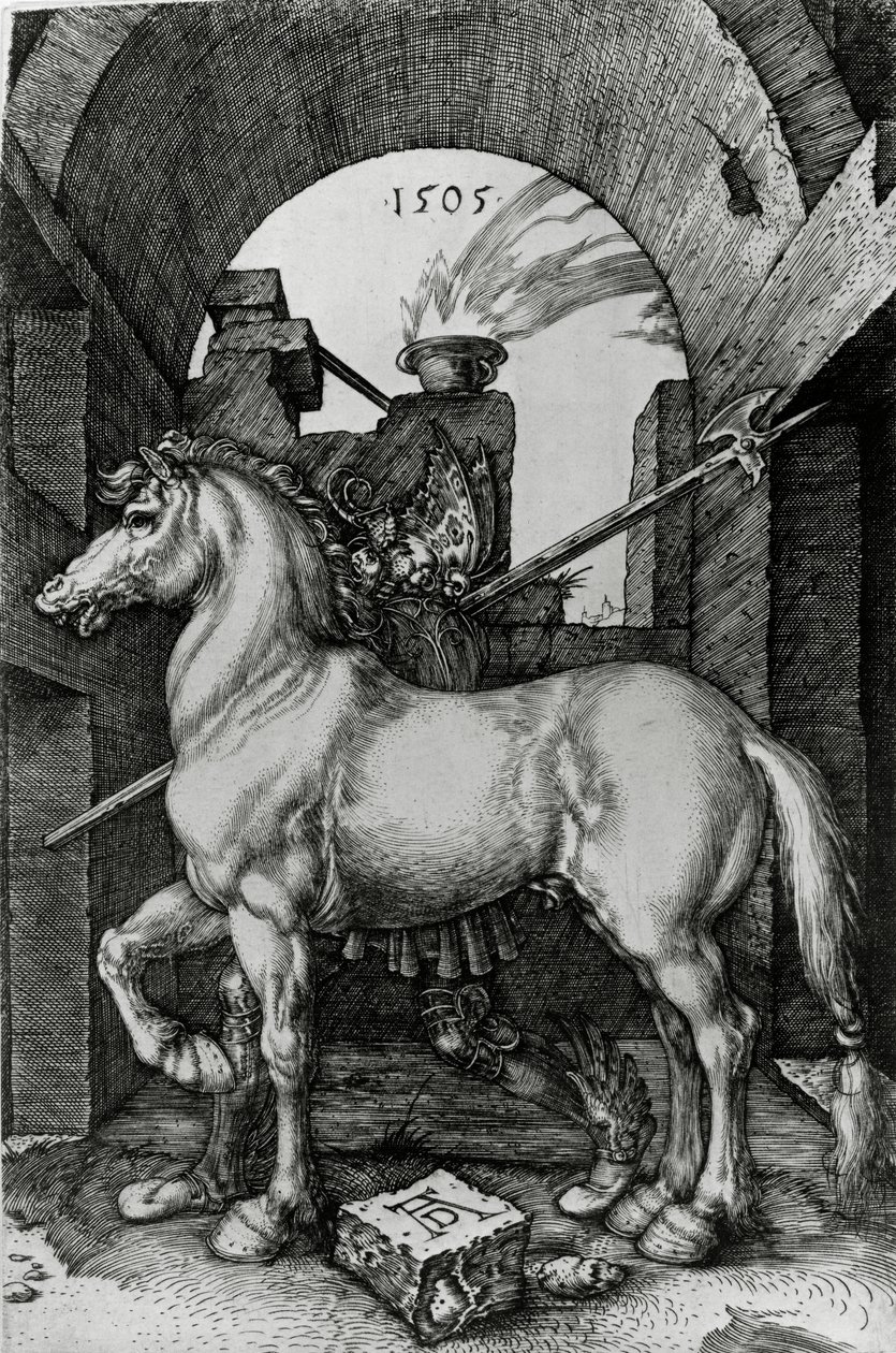 Malý kůň od Albrecht Dürer