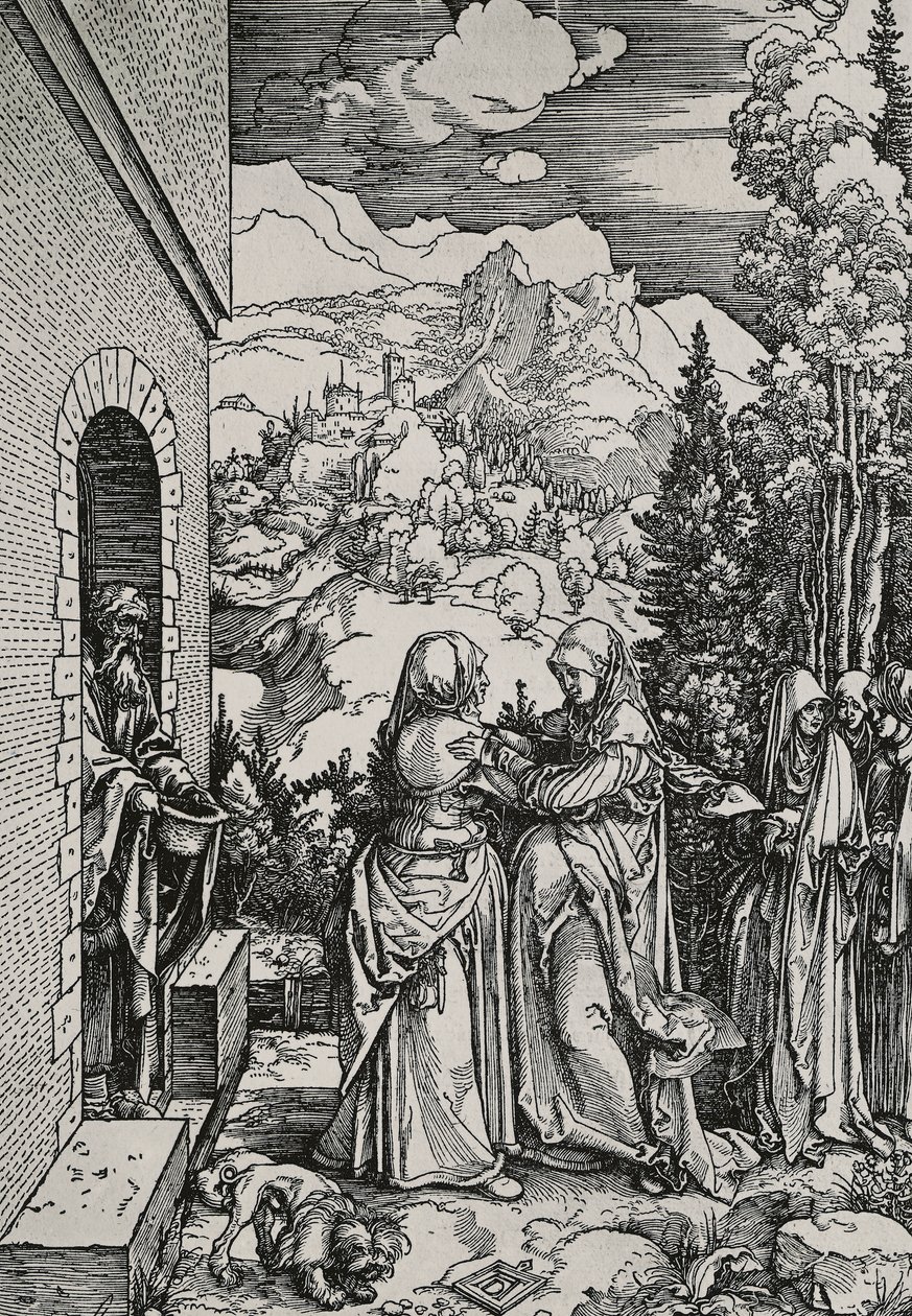 Návštěva od Albrecht Dürer