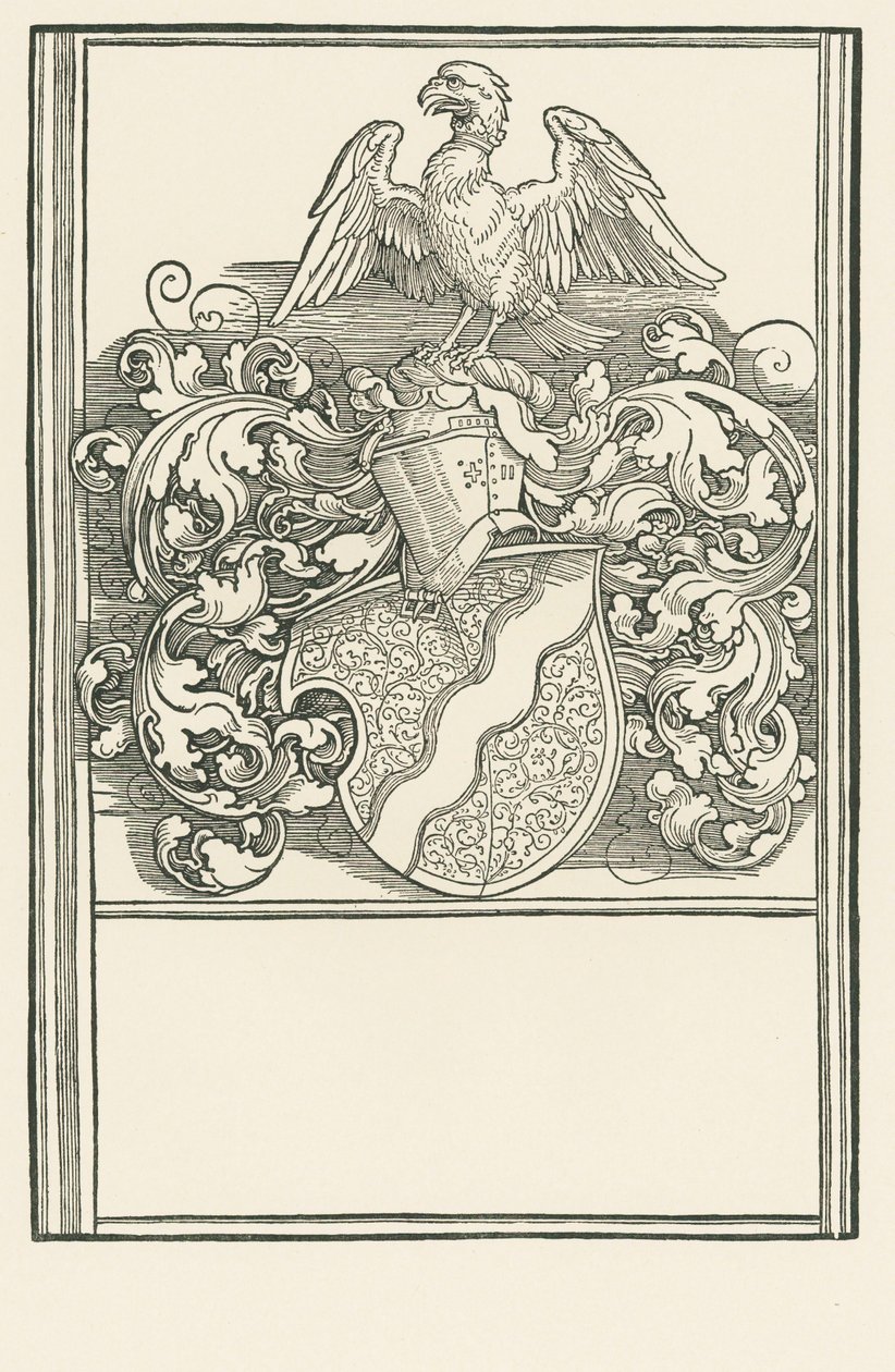 Erb Michaela Behaima, asi 1518-20 (dřevoryt) od Albrecht Dürer or Duerer