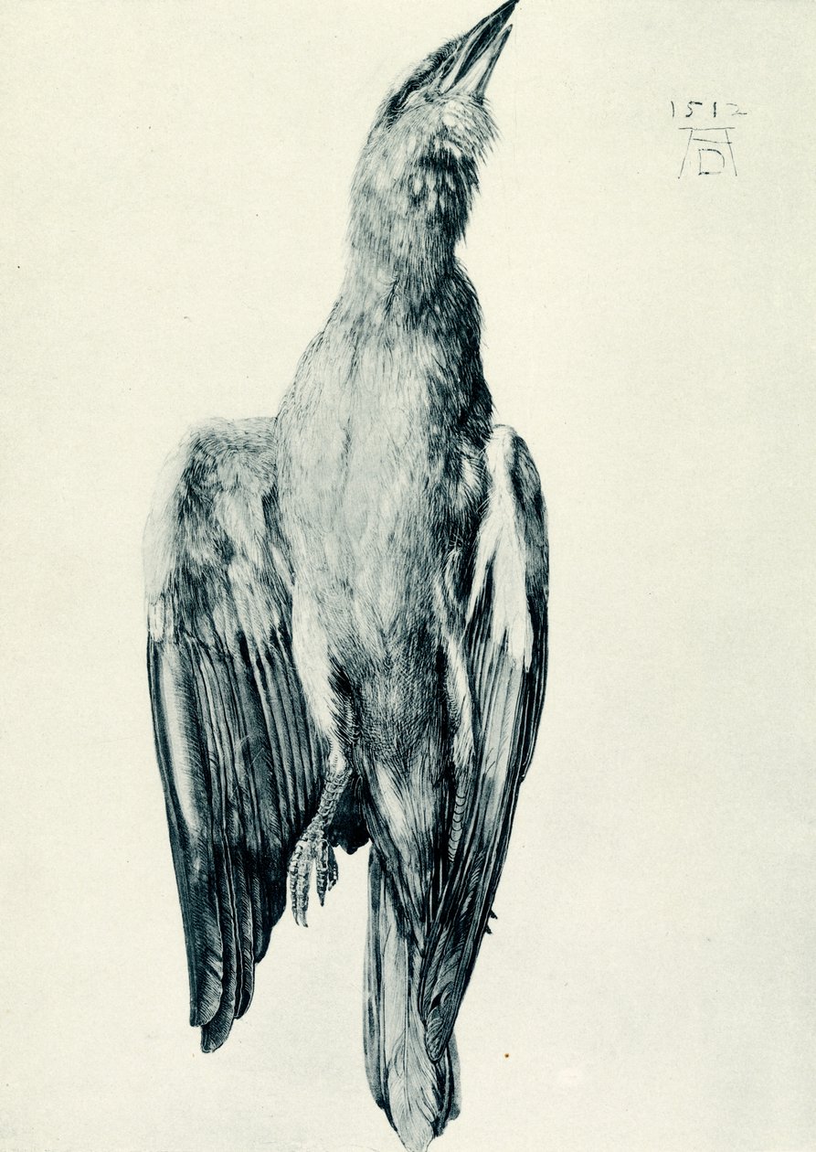 Mrtvý modrý válec od Albrecht Dürer