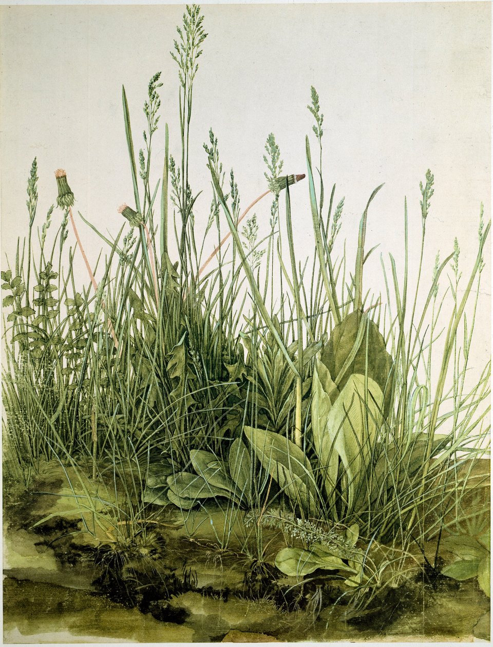 Závěsný od Albrecht Dürer