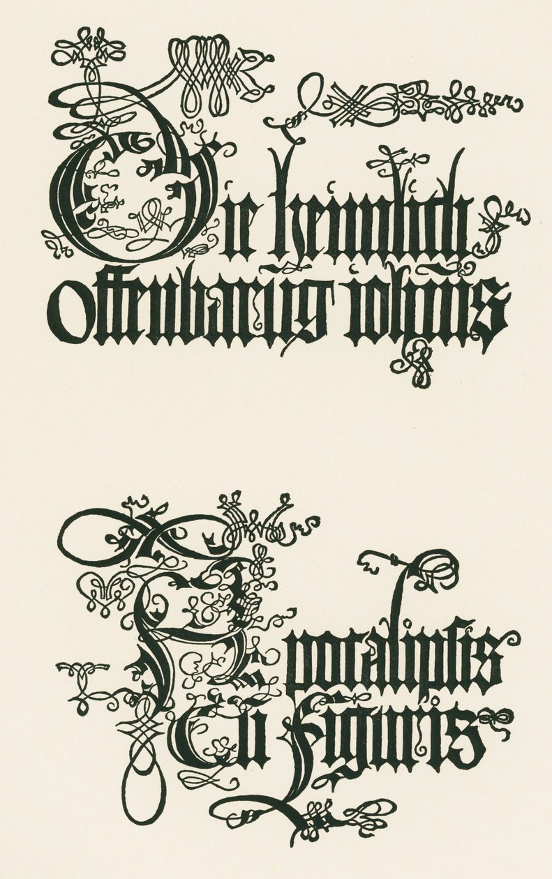 Název německého vydání z roku 1498: Tajné zjevení Jana... od Albrecht Dürer or Duerer