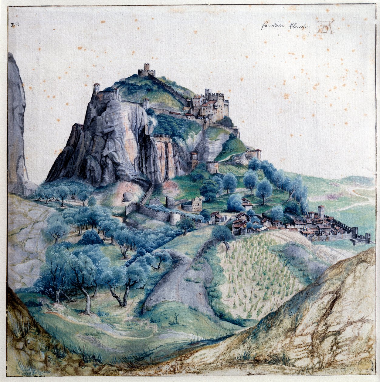 Závěsný od Albrecht Dürer