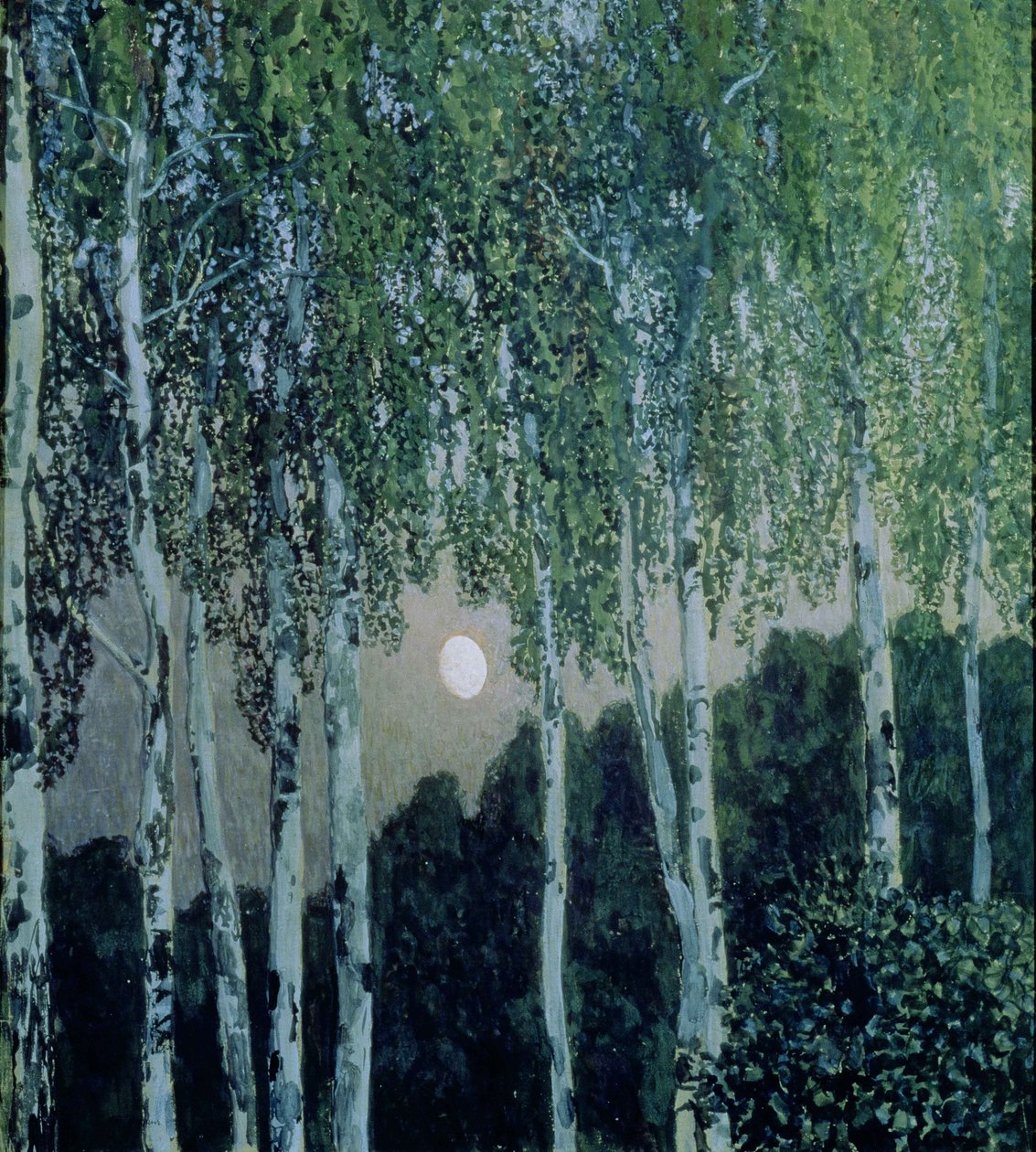 Břízy od Aleksandr Jakovlevic Golovin