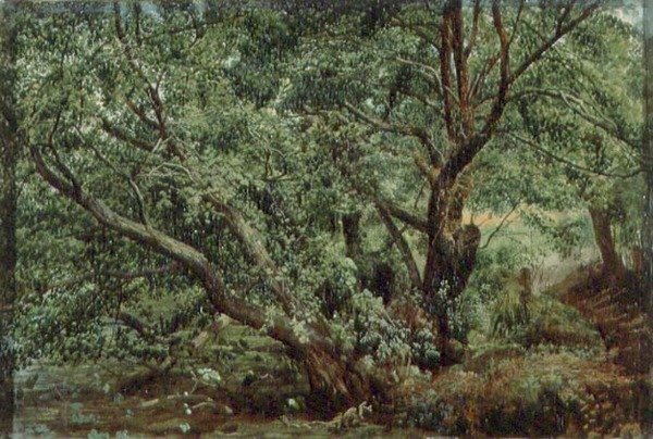 Stromy u potoka od Aleksandr Andreevich Ivanov