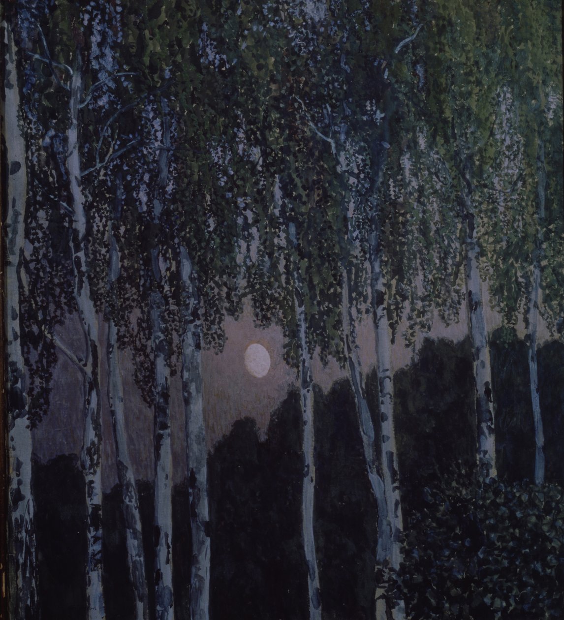 Břízy, 1908-1910 od Aleksandr Jakovlevic Golovin