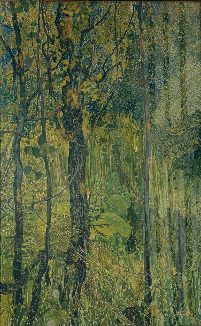 Bažinový les, 1917 od Aleksandr Jakovlevic Golovin