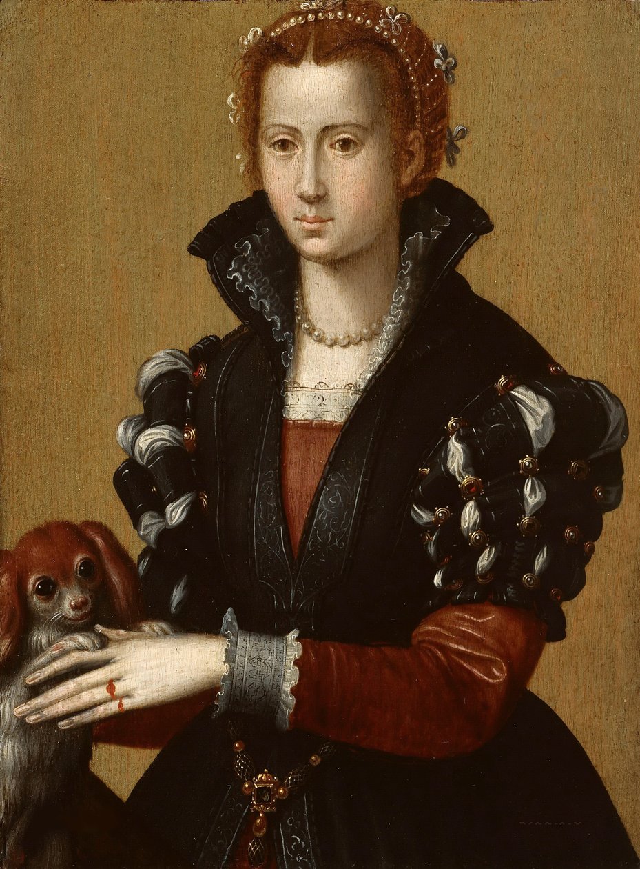 Portrét Eleonory z Toleda 15221562, c. 1560 od Alessandro Allori