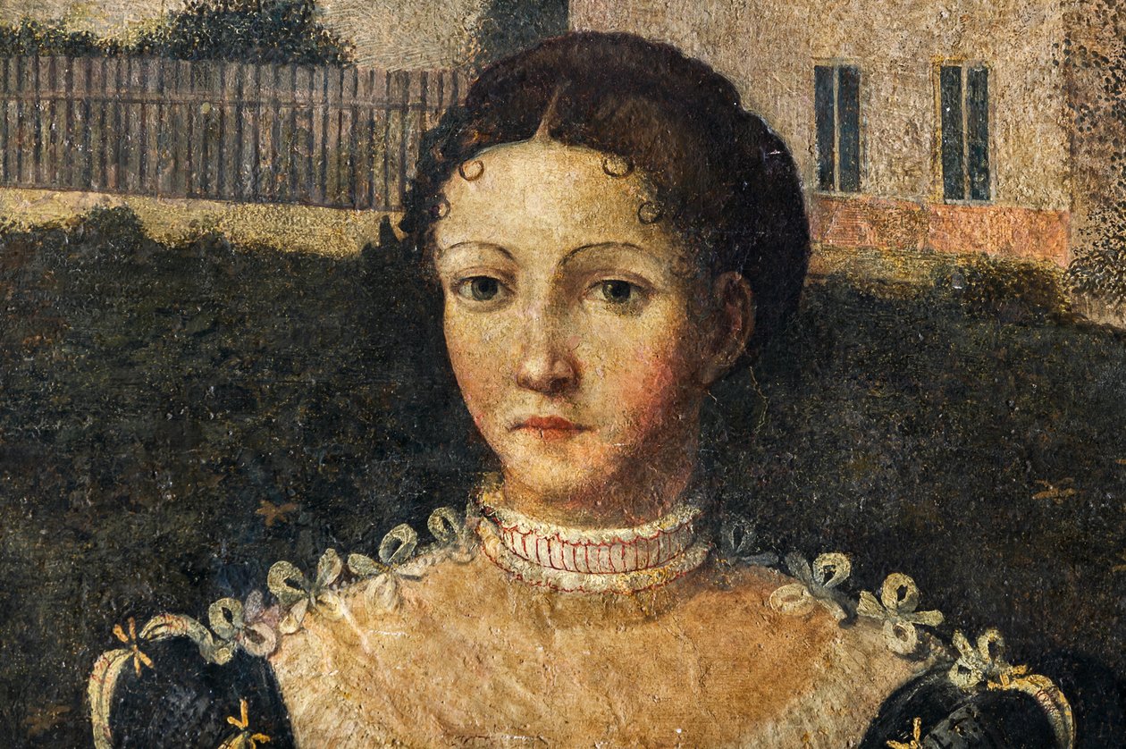 Portrét šlechtičny, detail Malé komnaty urozených dam (olej na plátně nalepeném na stěnách) od Alessandro Bonvicino Moretto