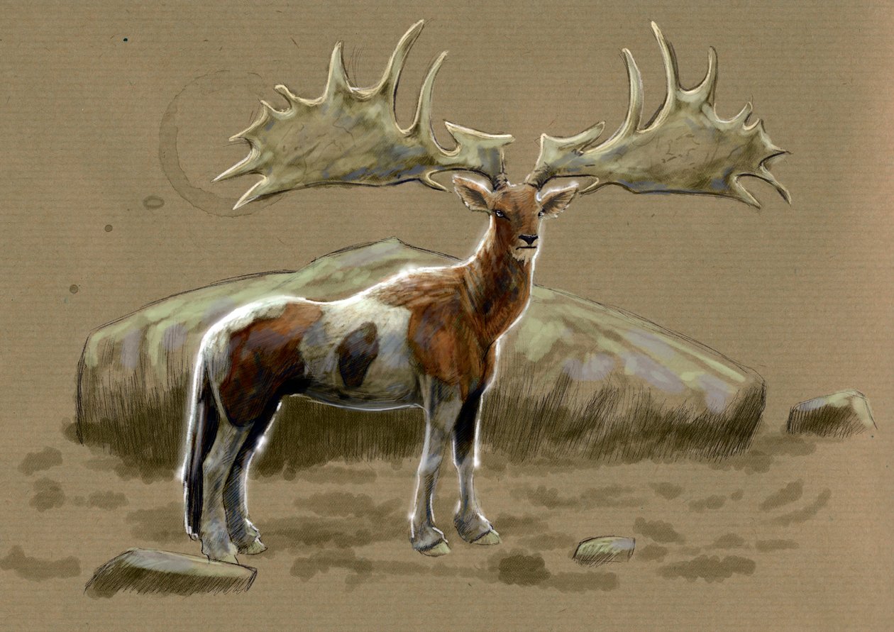Fantastická monstra a stvoření, kryptozoologie: reprezentace hrocha - Kresba Alessandra Lonatiho, 2012 od Alessandro Lonati