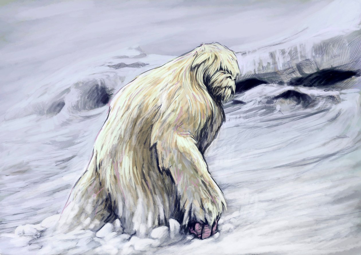 Fantastická monstra a stvoření, kryptozoologie: reprezentace yettiho nebo antropomorfního stvoření „ohavného sněhuláka“ z folklóru himálajské oblasti (Yeti nebo ohavný sněhulák je opičí kryptid, o kterém se říká, že obývá himálajskou oblast Ne od Alessandro Lonati