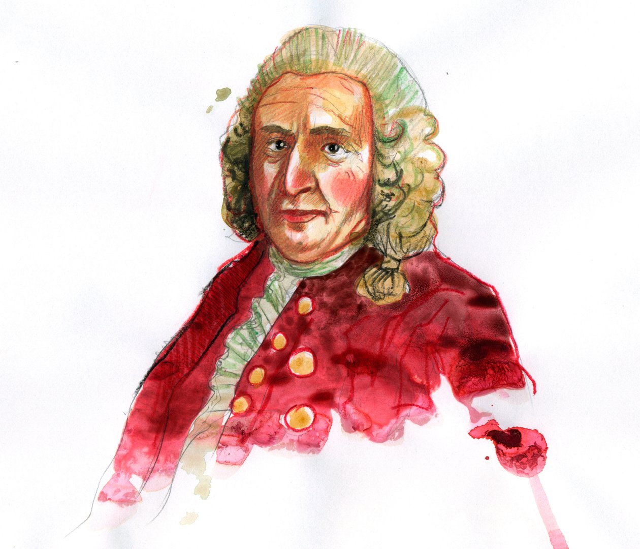 Portrét Carla Linného pak Carl von Linne (1707-1778) švédský přírodovědec (Portrét Carla Linného) od Alessandro Lonati