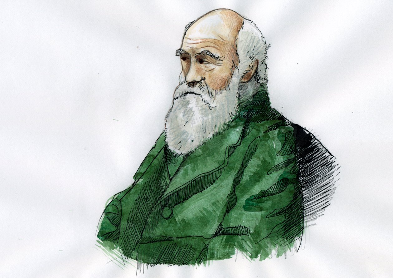 Charles Darwinin muotokuva - englantilaisen luonnontieteilijän Charles Darwinin (1809-1882) muotokuva. od Alessandro Lonati