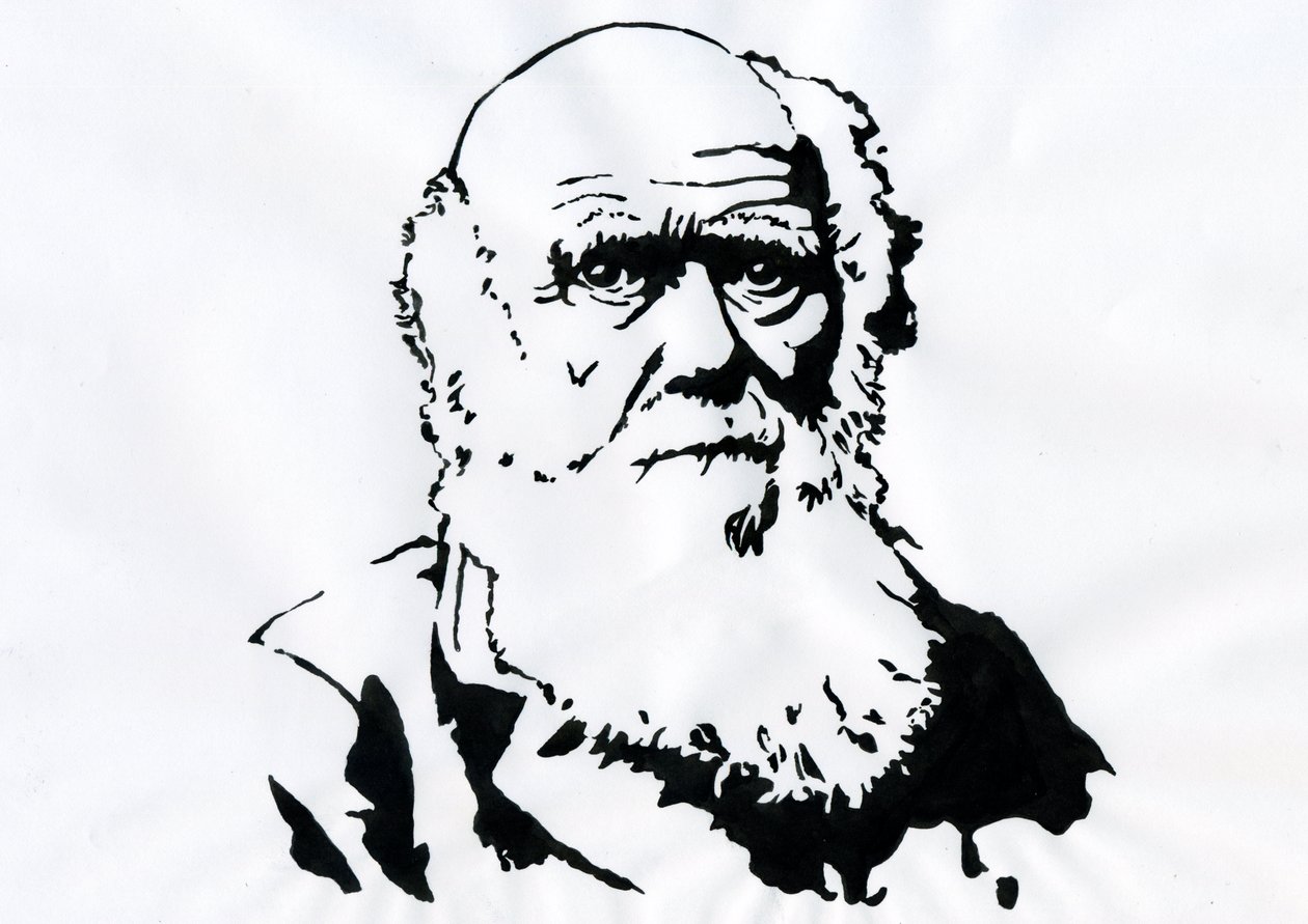 Portrét Charlese Darwina - Portrét anglického přírodovědce Charlese Darwina (1809-1882) Ilustrace od Alessandro Lonati