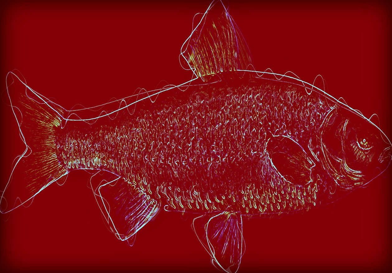 Fish V, 2020, (kombinovaná média) od Alex Caminker