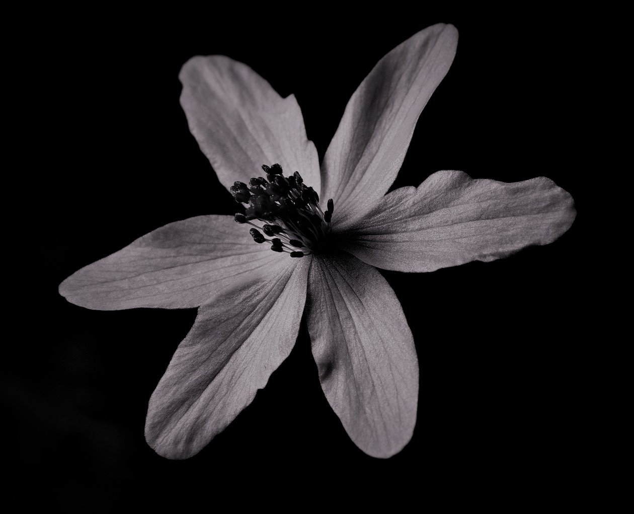 stavba, 2019, (fotografie) od Alex Caminker