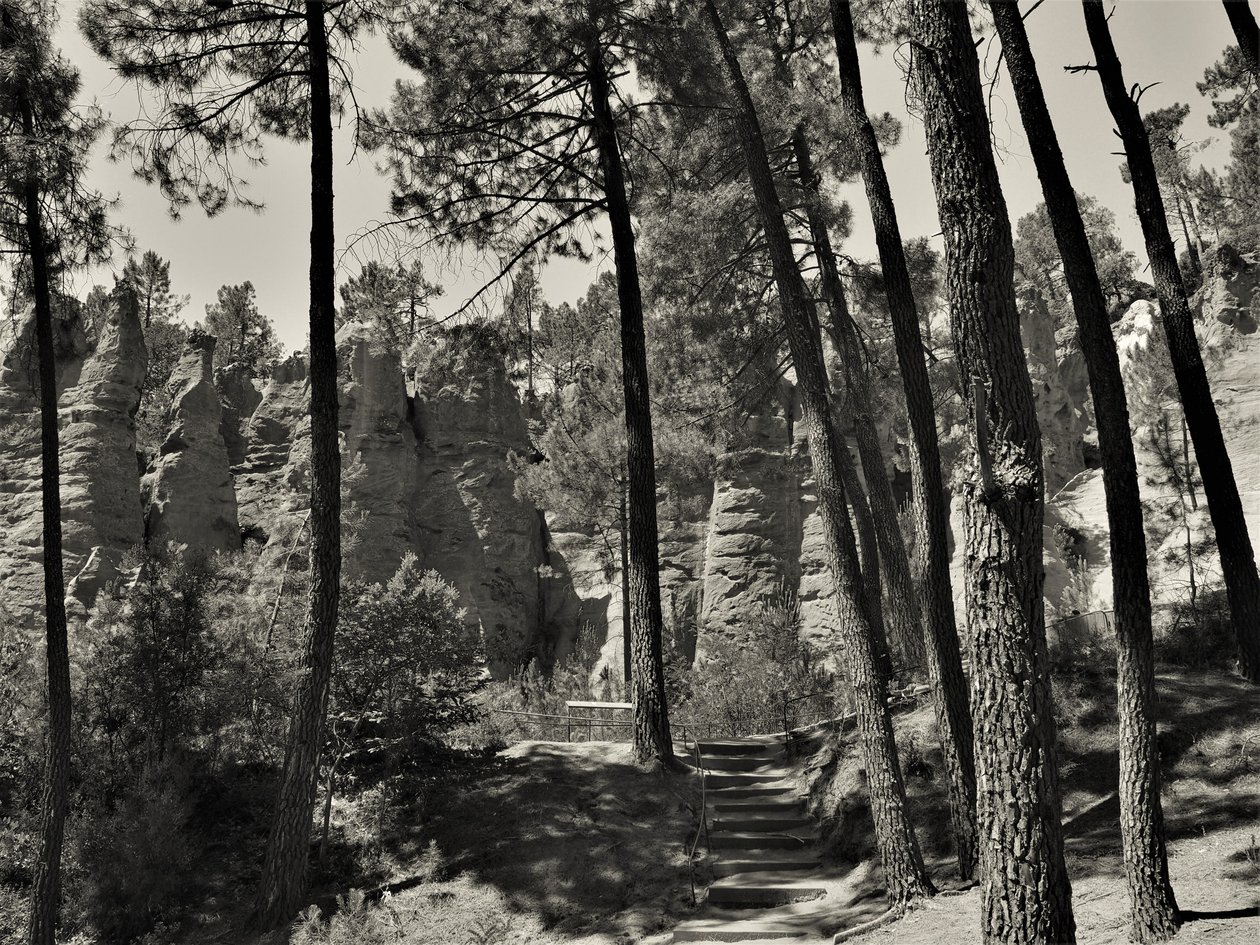 uvnitř vesmíru, 2019, (fotografie) od Alex Caminker