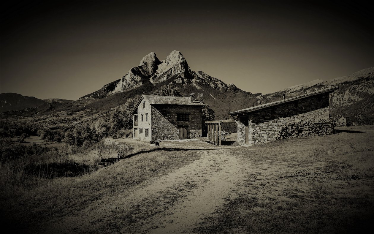 horská cesta, 2019, (fotografie) od Alex Caminker