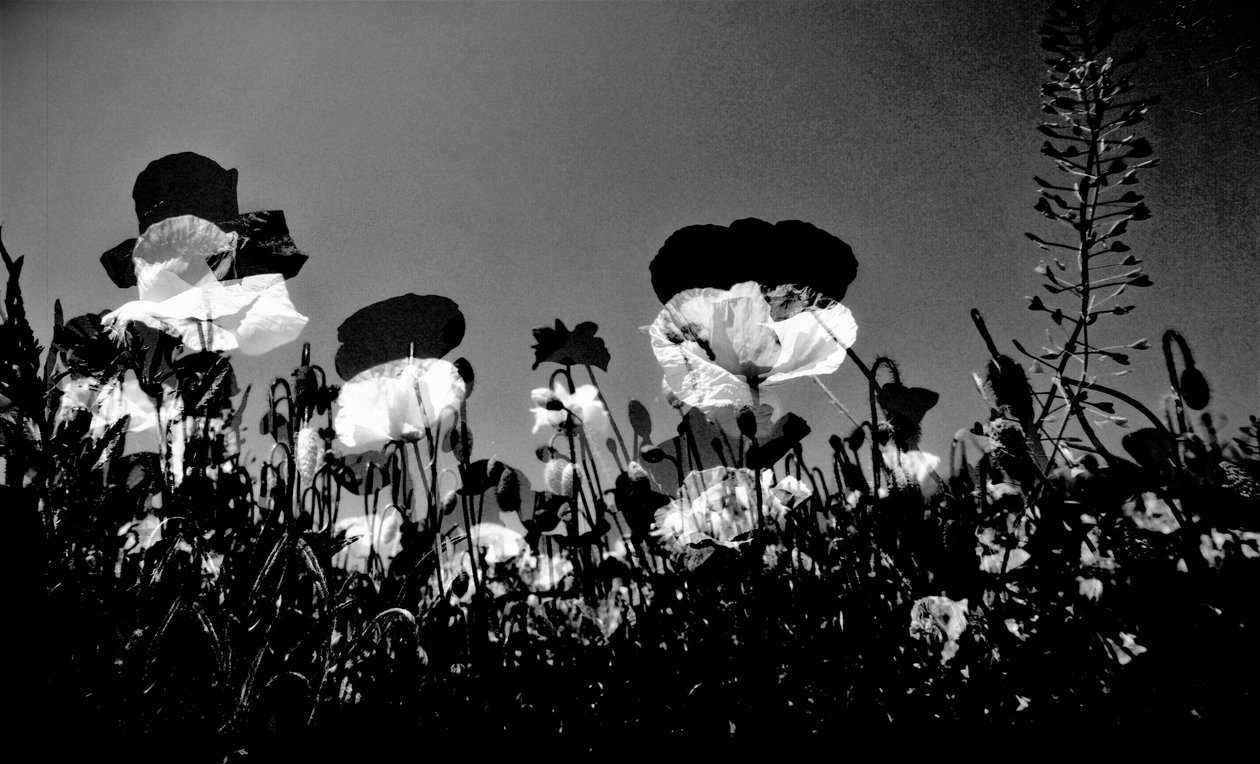 divadlo, 2019, (fotografie) od Alex Caminker
