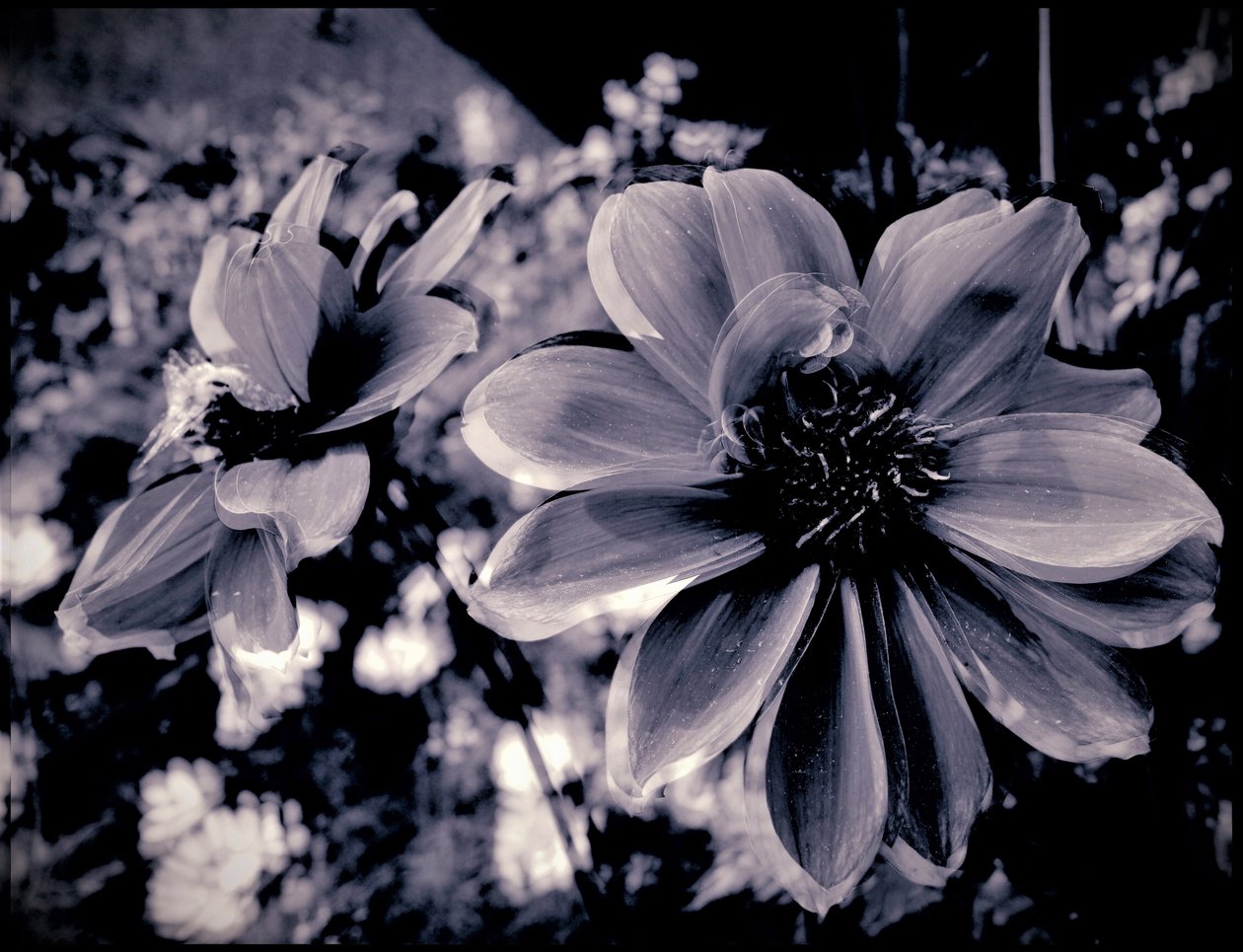 divadelní dekorace, 2019, (fotografie) od Alex Caminker