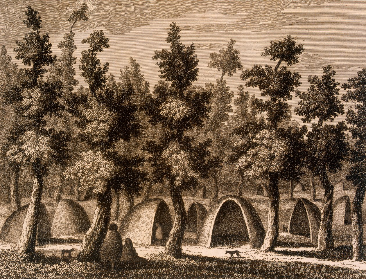 Pohled na vesnici v Zátoce dobrého úspěchu, Ohňová země, 1777 od Alexander Buchan