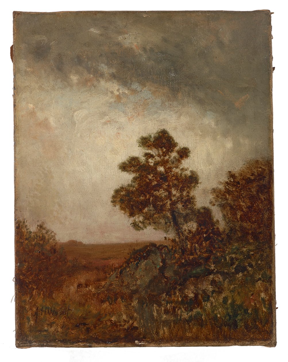 Krajina od Alexander Helwig Wyant