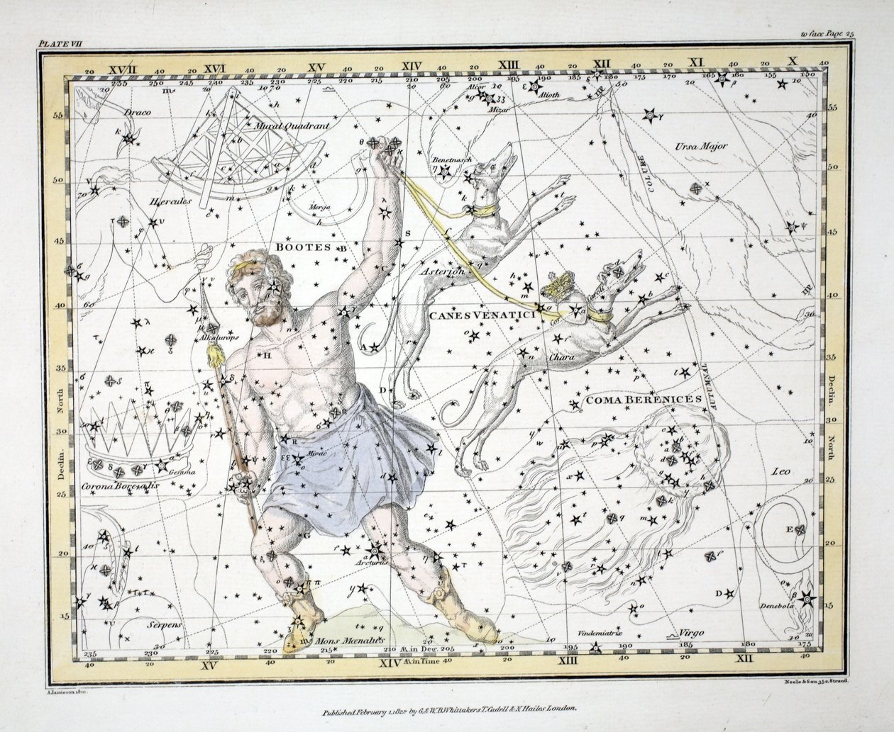 Souhvězdí (tabulka VII) Bootes a Mons Maenalus, Asterion a Chara nebo Canes Venatici, Coma Berenices, , z "A Celestial Atlas" od Alexandra Jamiesona, vyd. Londýn 1822 (ručně kolorovaná rytina). od Alexander Jamieson