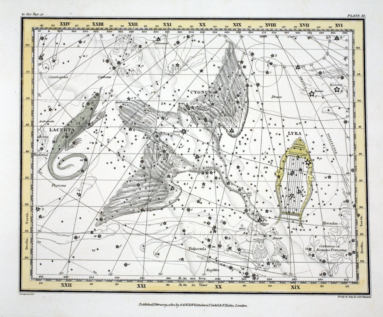 Souhvězdí (deska XI) Labutě, Lacerta a Via Lactea, z 