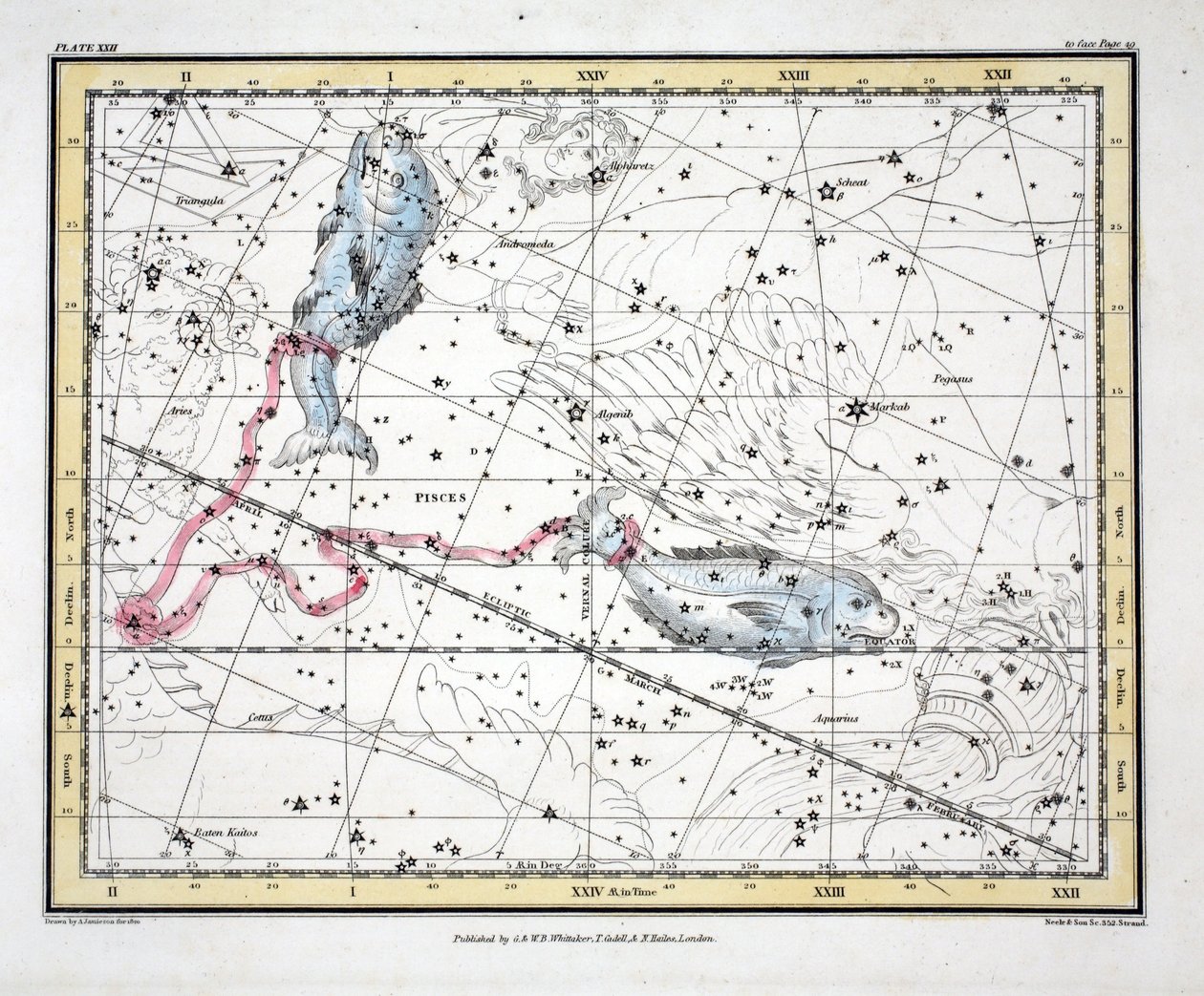 The Constellations (Plate XXII) Ryby, z 