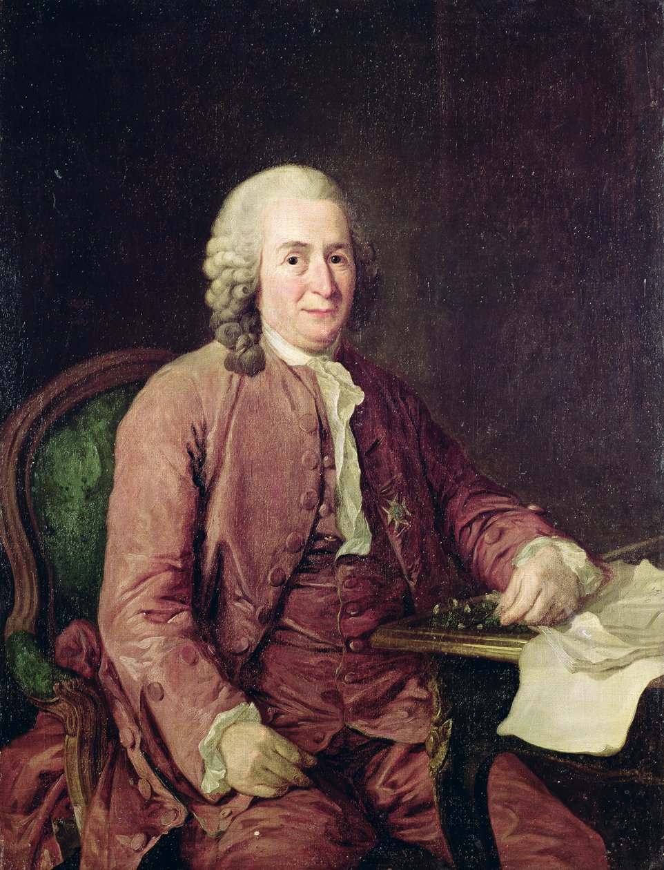 Portrét Carl von Linné (1707-1778) od Alexander Roslin
