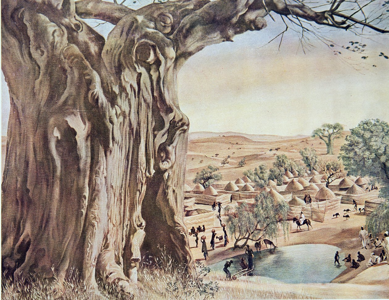 Un Baobab (Súdán), z Kresby a malby Afriky, popravený během expedice Citroen Centre Afrique, druhá mise Haardt Audouin-Dubreuil, hospoda. Paříž, 1927 od Alexander Yakovlev