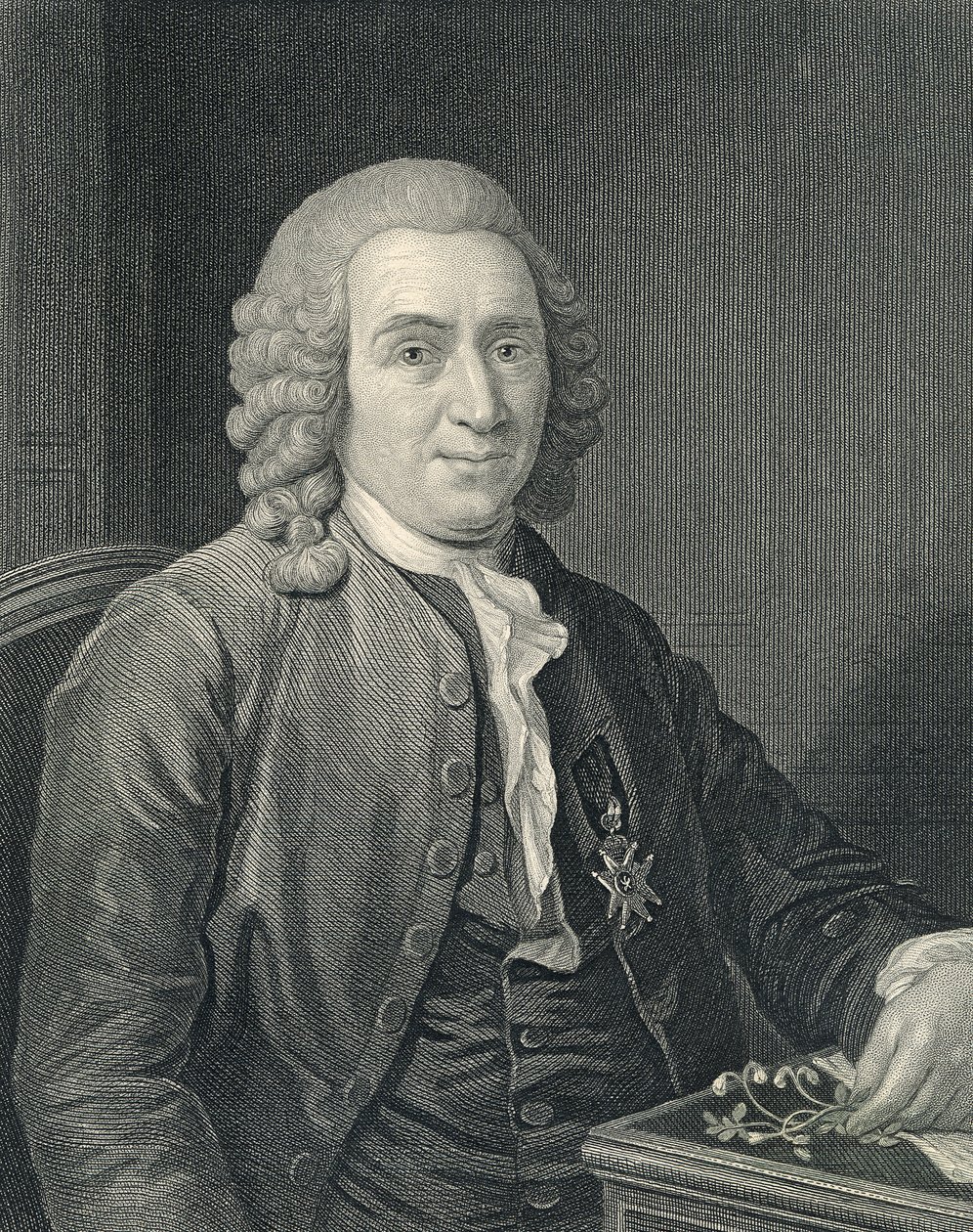 Portrét Carolus Linnaeus od Alexander (after) Roslin