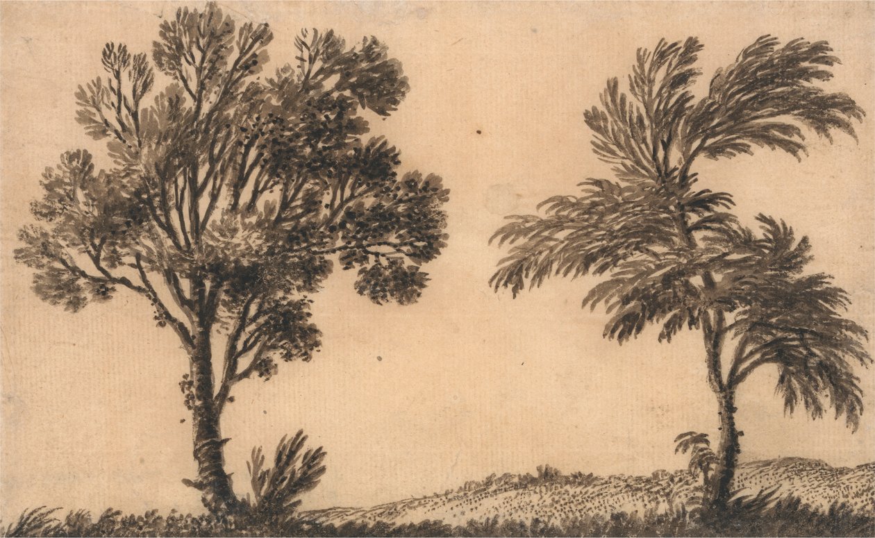 Studie o dvou vrbách od Alexander Cozens