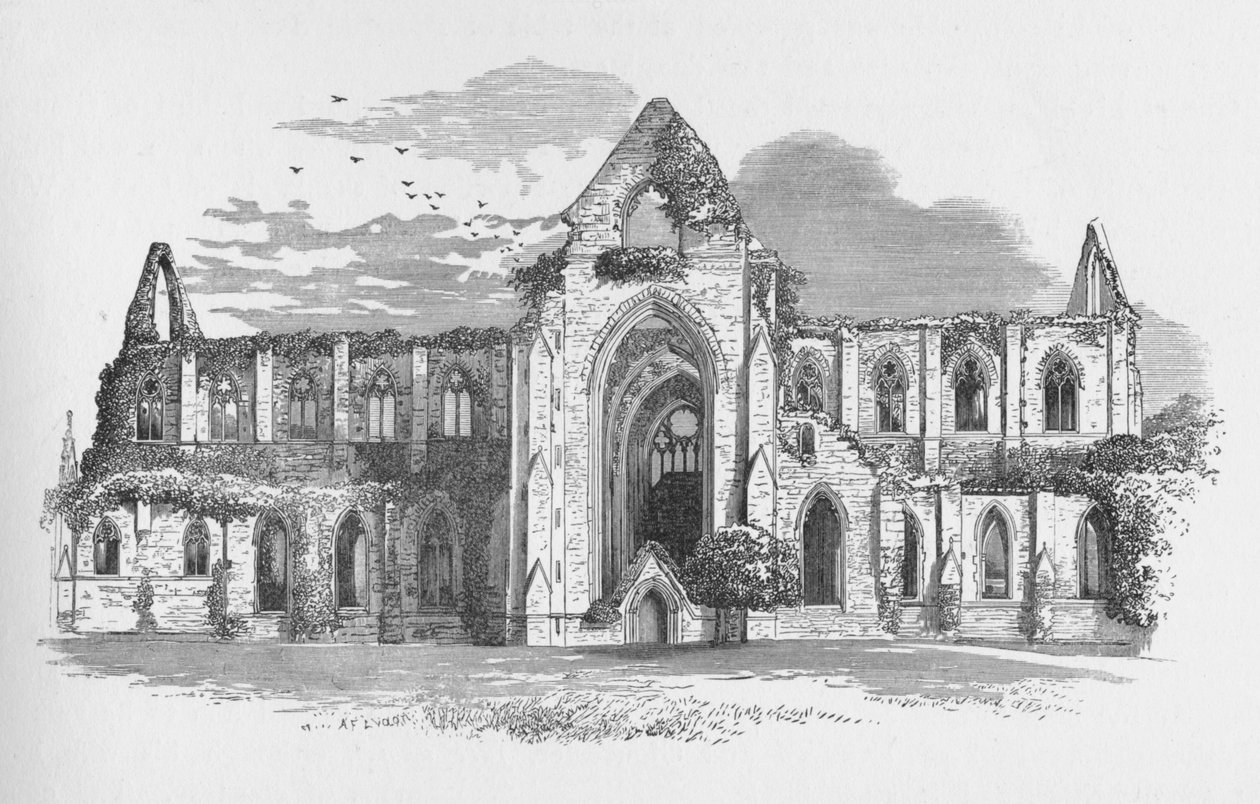 Z jihu, Tintern Abbey, c1885, 1897 od Alexander Francis Lydon