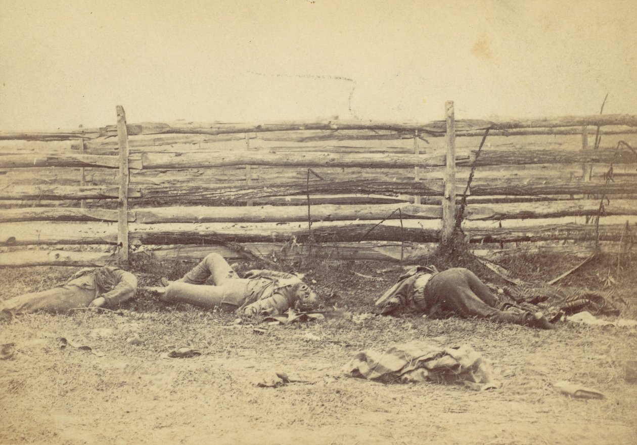 Pohled v poli, na západní straně Hagerstown Road, po bitvě u Antietamu, ..., 1862. od Alexander Gardner