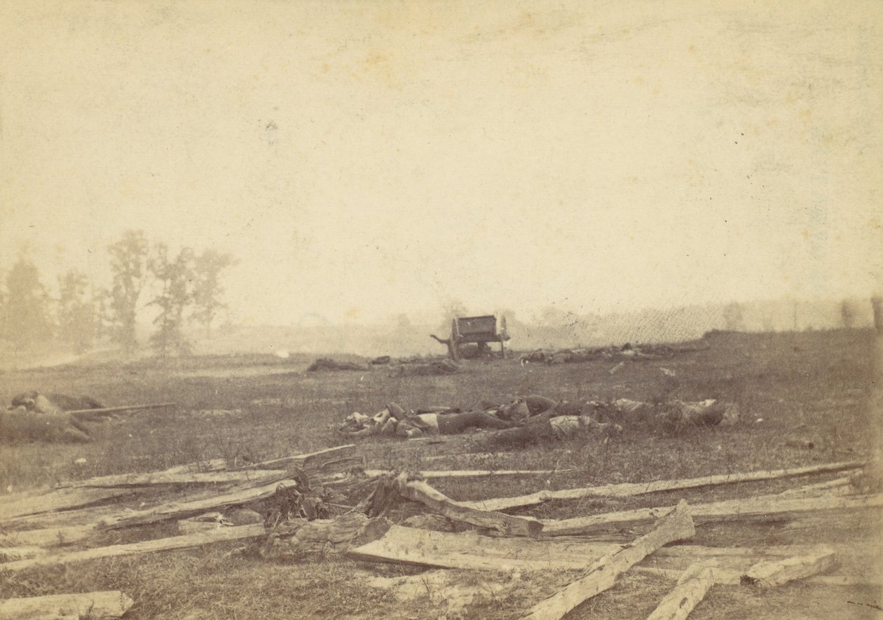 Pohled na bitevní pole Antietam, září 1862, 1862. od Alexander Gardner